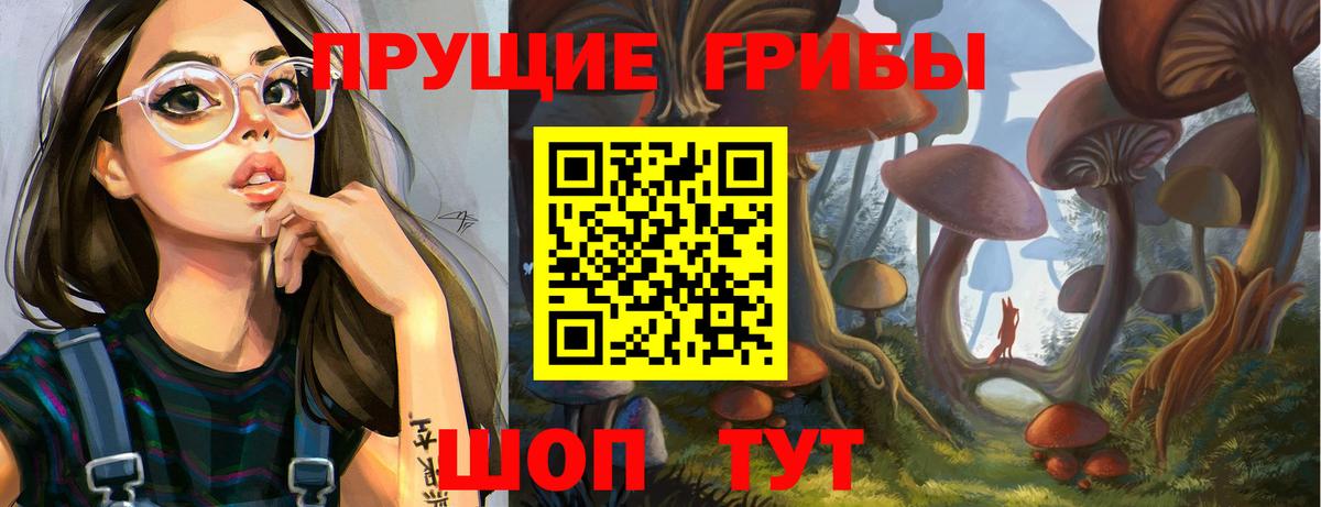 Галлюциногенные грибы Psilocybine cubensis Северск