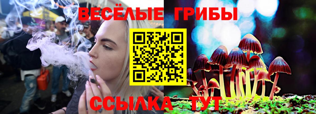 Северск  где можно купить   Вход с VPN  Псилоцибиновые грибы Psilocybine cubensis  Псилоцибиновые грибы мицелий 