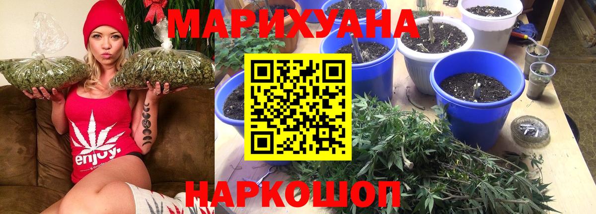 Каннабис сатива  Вход с VPN  МАРИХУАНА White Widow  Бошки Шишки марихуана  Северск 